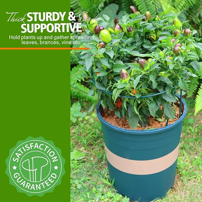 LEOBRO Plant Support, 8PCS Peony Cages and Supports, Plant Stakes for Indoor Plants, Outdoor Plants, Plant Holders, Tomato Monstera Hydrangea Support Cage, 10" W x 15.8" H LEOBRO