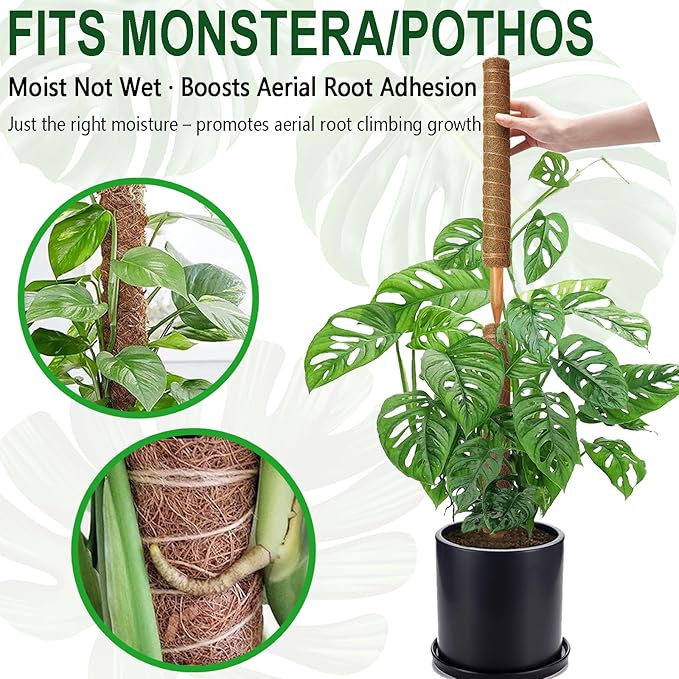 Soupiar 2 Pack 22 Inch Stackable Moss Pole - Thick & Sturdy Natural Coir Totem Plant Support & Garden Stakes for Monstera & Pothos, Indoor Climbing Vining Houseplants, 38”H Max Soupiar