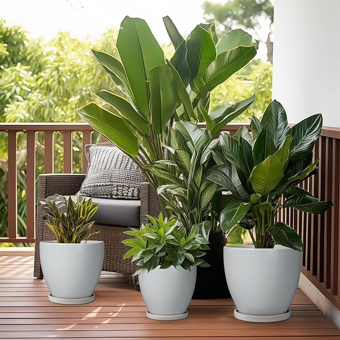 Ceramic Pots for Plants - 8 Inch Planter, Indoor Plant Pot with Drainage Hole and Saucers, Modern Flower Planters, Home Garden Patio Bathroom Porch Room Decor, Gray EPFamily