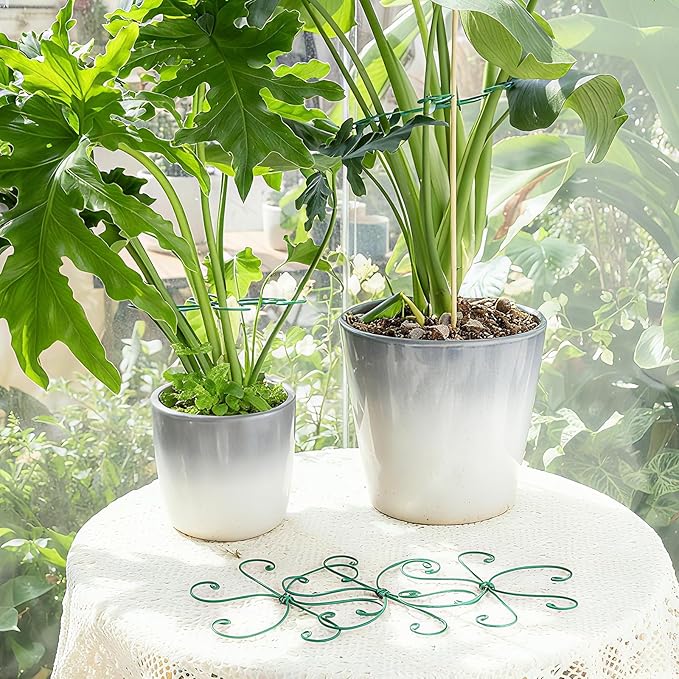 Monstera Plant Stem Support 5 Pcs - 7.5” Indoor Plant Stabilizer Holder for Monstera & Climbing Plants - Durable, Lightweight, Easy to Use for Optimal Growth & Stability - Home Décor Friendly Yohsnor