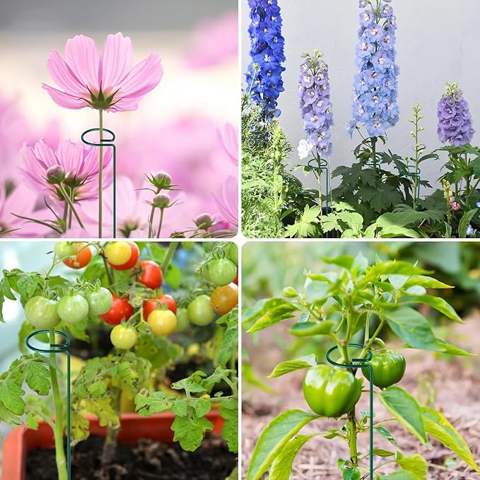 FEED GARDEN 16 Inch 20 Pack Plant Support Stakes, Metal Garden Flower Stakes and Supports for Outdoor Plants, Plant Stem Support with 40 Twist Ties for Amaryllis Lily Rose Peony Tomatoes Gladiolus FEEDGARDEN