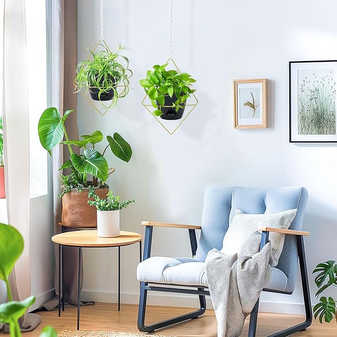 Hanging Planters for Indoor Plants, 2 Set Self Watering Hanging Flower Pots, Modern Hanging Plant Baskets with Metal Plant Holder & 6.5 Inch Plastic Pots for Garden Home Decor (Gold Frame Black Pot) Koalaime