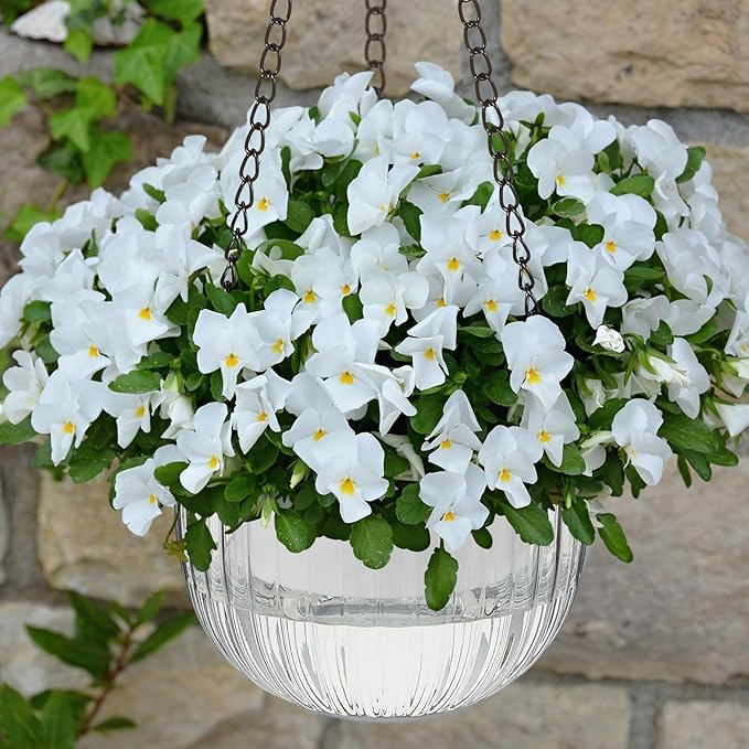 Meanplan 4 Pcs Self Watering Hanging Planter Indoor 6.5 Inch Hanging Baskets for Plants Outdoor Plastic Flower Pot with 3 Hooks Chains Drainage Holes for Garden Home, Medium Size(Clear) Meanplan
