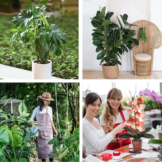 4 Pack Plant Support Stakes, Plant Stakes for Indoor and Outdoor Plants. 28inch Plant Sticks with Extension Poles, Plant Clips, Plant Ties for Potted Monstera Plants, Climbing Plants YHTPOUQE