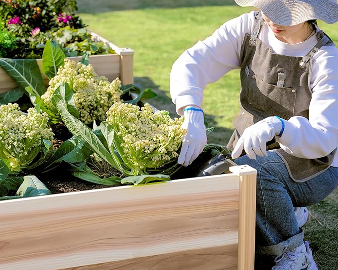AMERLIFE Raised Garden Bed – 12x12x2 ft H-Shaped Wooden Planter Box, 180 Cu. Ft Capacity, Double-Layer Design for Outdoor Patio, Yard, and Garden Use AMERLIFE
