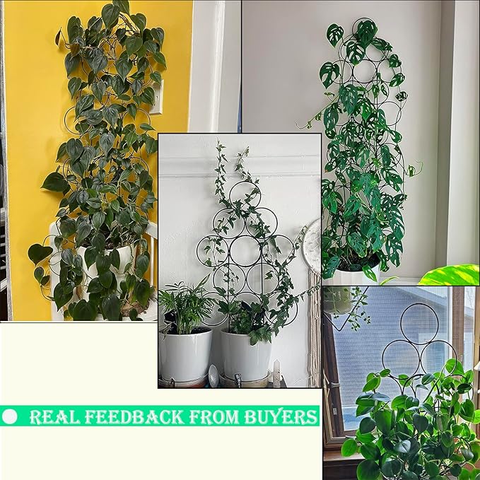 Trellis for Climbing Plants Indoor,4 Pack Stackable Garden Trellis for Potted Plant Support, 15.7 Inch Small Houseplant Metal Wire Trellis for Vine Ivy Rose Plant Trellis (Black) IAGarden