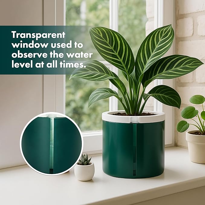 D'vine Dev 8 Inch Design Self Watering Planter for Indoor Plants, White Terracotta Pot with Teal Cylinder Glass Cup, 37-X-C-5 DvineDevPlanterPotsandStand