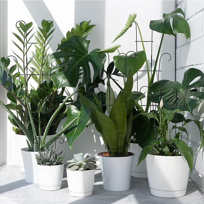 4P Plant Trellis for Potted Plants, Larger 23in Garden Trellis for Climbing Plants Indoor Outdoor, Rustproof House Plant Support Stakes for Pothos Hoya Ivy Flower Xeeol