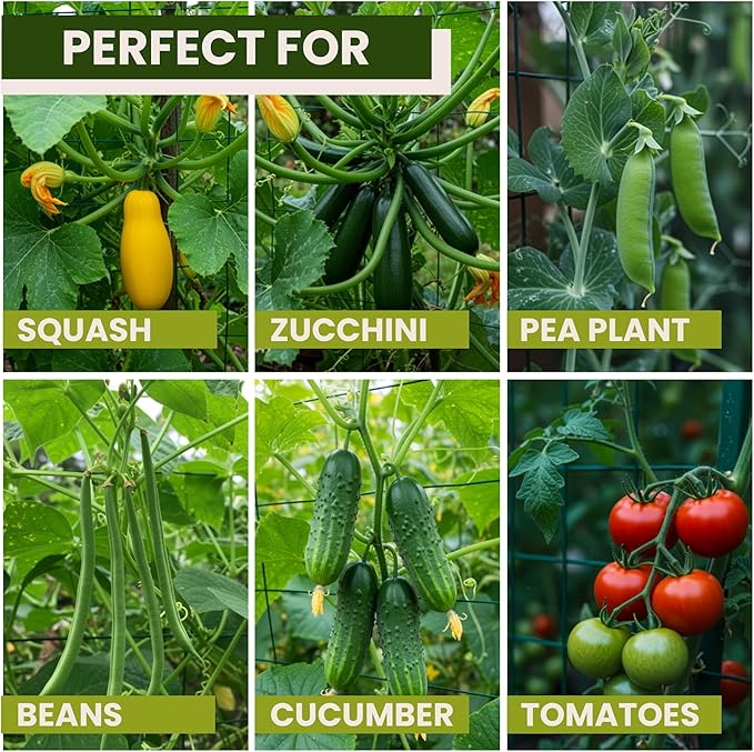50x50 Cucumber Trellis for Raised Bed - A Frame Garden Trellis for Climbing Plants Outdoor - Cucumbers, Pea, Zucchini, Squash,Tomato, Green Bean, Vine, Watermelon, Melon, Pumpkin K-BRANDS