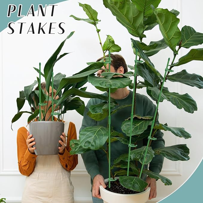 Plant Stakes, 20 Pcs Plant Sticks Stakes Support, Garden Stake Pole with Clips, Adjustable Plant Support with 20 Rings and 10 Connectors for Indoor and Outdoor Plants Catephe
