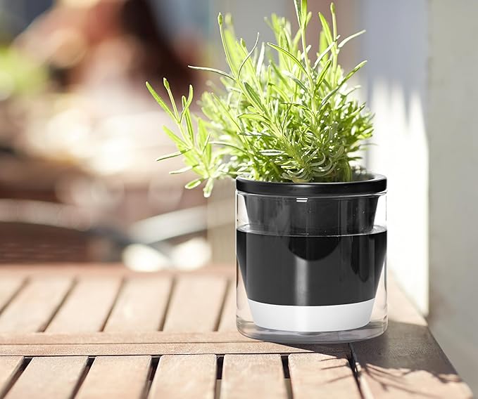 D'vine Dev 4 Inch Design Self Watering Planter for Indoor Plants, Black Terracotta Pot with Cylinder Glass Cup, Set of 4, 37-Z-A-3-F DvineDevPlanterPotsandStand