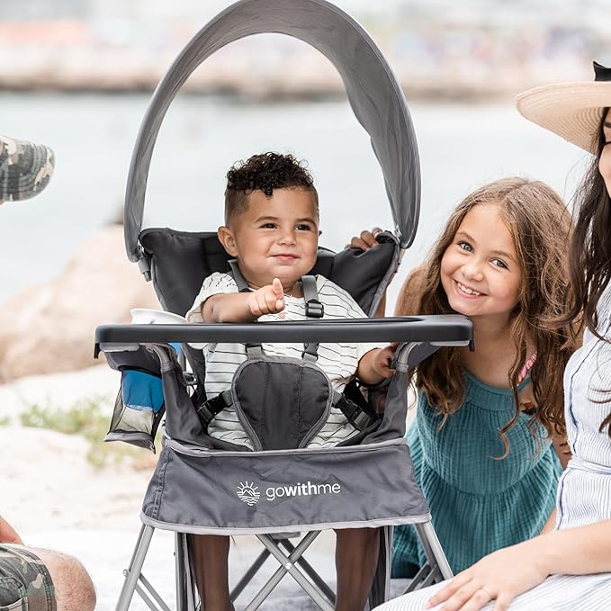Baby Delight Go with Me Venture Portable Chair | Indoor and Outdoor | Sun Canopy | 3 Child Growth Stages | Grey BabyDelight