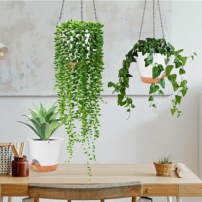 GARDIFE hanging planter, 8 inch hanging planters for indoor. outdoor plants , Self watering plant pot, 2 Pack Large self watering hanging planter (8-White, 8 inch) GARDIFE
