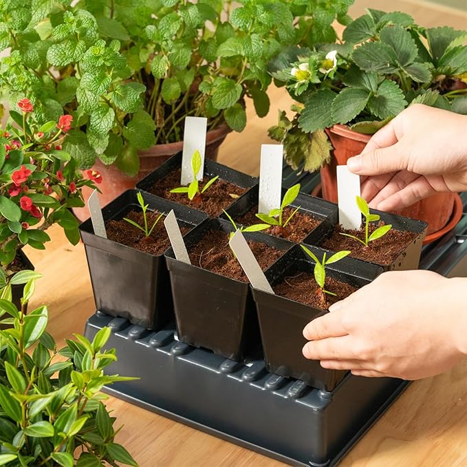 June Fox Square Nursery Pots 3.3 Inches Flexible Plastic Seedling Pots Square Pots for Plants, Succulent, Flower, Pack of 100, with 100 PCS Plant Labels June+Fox