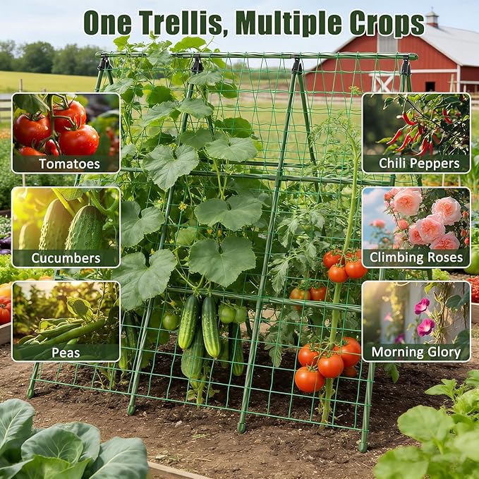 Miory Cucumber Trellis for Raised Beds, 48 x 48 Inch Metal A-Frame Garden Trellis for Climbing Plants Outdoor with Climbing Net, Plant Support for Cucumber Tomato Bean Pea Miory