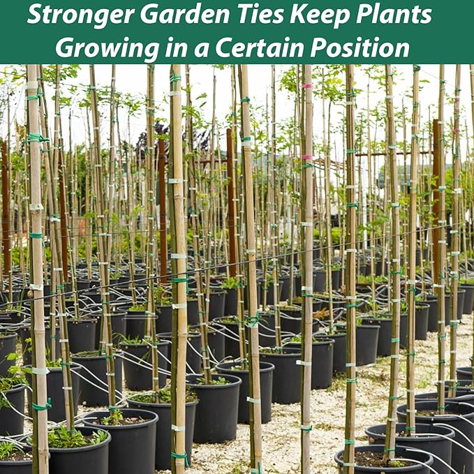 YDSL 100 Feet Soft Tie for Plants, 3 Pack Green Twist Garden Ties Gardening Supplies for Supporting Climbing Plants, Tomatoes, Vegetables, (Diameter - 2.5MM) YDSL