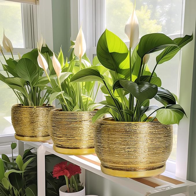 SQOWL Ceramic Flower Pot - 8 Inch Plant Pot Indoor Outdoor, Round Planter with Drainage Hole and Saucer, Decorative Modern Planter, Home Decor, Plant Lovers Gifts, Gold SQOWL