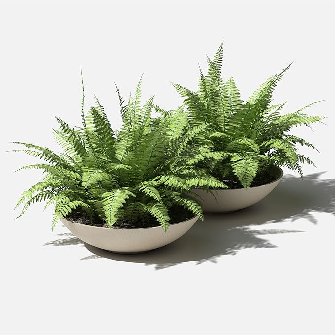 Veradek Mason Series Lane Bowl Planter| for Indoor or Outdoor Tabletops/Gardens |Made from Plastic-Stone Composite with Drainage Holes|Modern Décor for Flowers, Succulents, Small Plants VeradekOutdoor