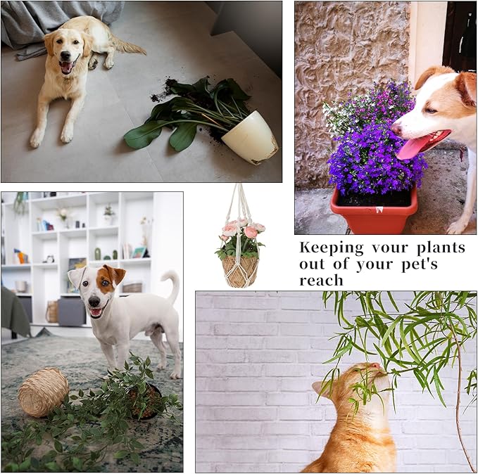 2 PCS Macrame Plant Hanger Indoor Hanging Plant Holder Hand-Woven Cotton Rope Flower Pot Basket with Metal Hook Rings Window Plant Hanger for Outdoor Hanging Pots Home Boho Decor, No Tassels, 23.6" Sliverdew