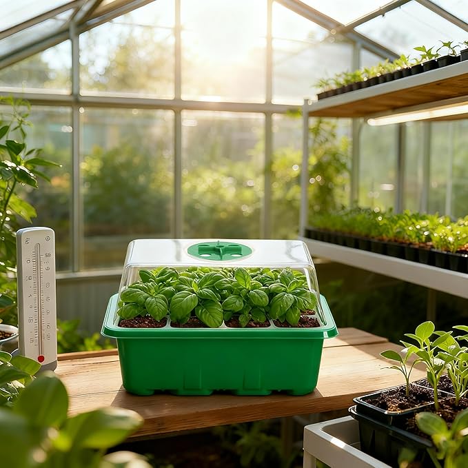 Bonviee 5-Pack Seed Starter Trays, Seed Starter Kit with Adjustable Humidity Dome and Base Indoor Greenhouse Mini Propagator for Seeds Growing Starting (12 Cells Per Tray, Green) BonvieeDirect