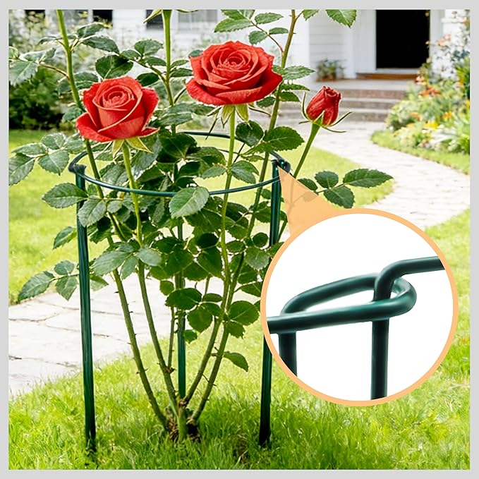 Garden Plant Support Cagess,High Heavy Duty Interlinked Half Round Peony Support Ring Cage for Indoor Outdoor Plants,Plant Supports for Peony,Tomato,Hydrangea,Rose (4, 16" Dx46 H) TCBWFY