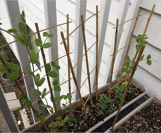 Avalution 10 Pack Bamboo Trellis for Climbing Plants 16" Natural Garden Ladder Trellis, Fan -Shaped Plant Support Trellis for Potted Plant Decor Avalution