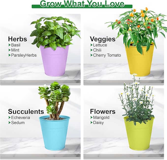 Herb Garden Planter Indoor Kit – 6 Metal Pots with 2 Trays for Windowsill & Kitchen Counter – Modern Decorative Indoor Planters for Herbs, Succulents & Small Plants Wacloud
