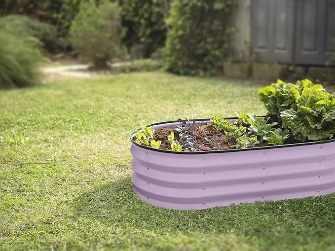 Plant & Plot Galvanized Raised Garden Beds Outdoor // 4×2×1 ft (2-Pack) Planter Raised Beds for Gardening, Vegetables, Flowers (Lavender) // Large Metal Garden Box PlantPlot