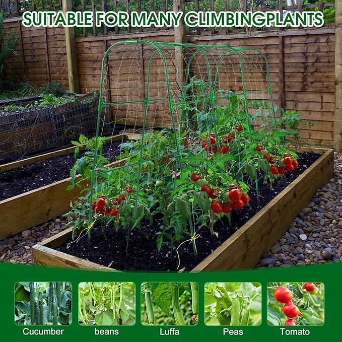 Garden Trellis for Climbing Plants Outdoor, Cucumber Trellis for Raised Bed Garden, Arch Trellis Support for Cucumbers Tomatoes Beans Peas, 50x48 inch, Metal Trellis with Netting, Green OTOSUNNY