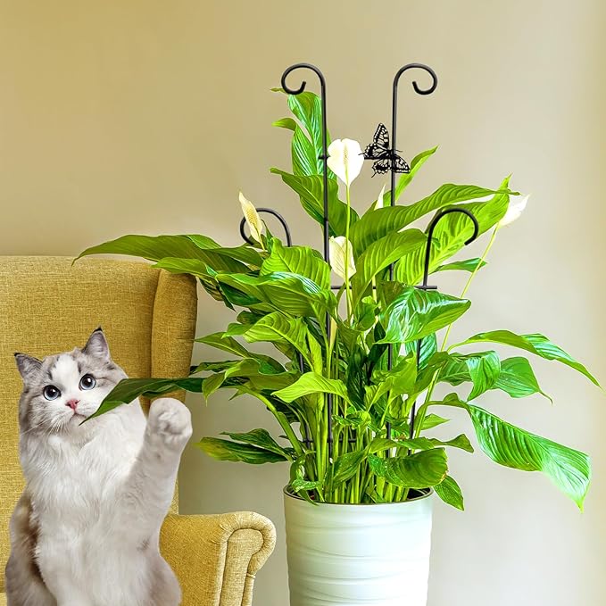 23in Plant Trellis Indoor, Trellis for Potted Plants with Butterfly, Garden Trellis Climber Support for Climbing Plants Pothos Hoya Vine Xeeol