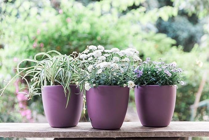 GARDENIX DECOR Self Watering Pots for Indoor Plants 3 Pack - Flower Pot with Water Level Indicator for Plants, Grow Tracking Tool - Self Watering Planter Plant Pot - Coco Coir - Purple Rootora