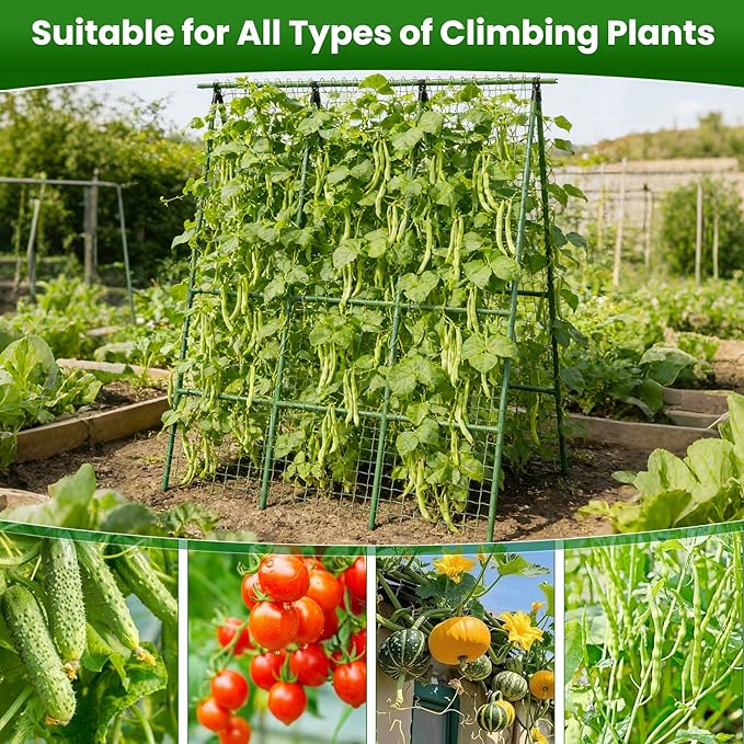 Cucumber Trellis for Raised Bed 48" L x 64" H, 16mm Heavy-Duty Metal A-Shape Arch Trellis, Outdoor Climbing Plant Support for Tomato Pea Zucchini Grape Flowers, Vertical Garden Vegetable Trellis Erinaik