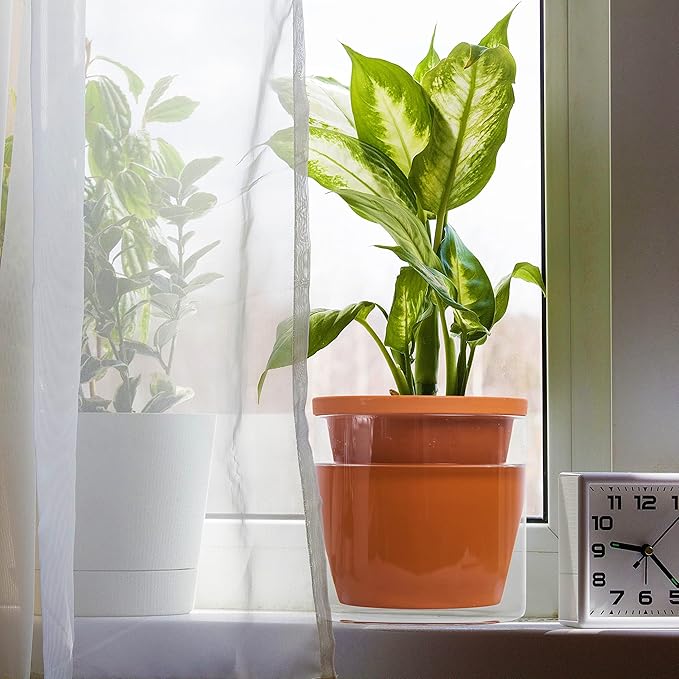 D'vine Dev 6 Inch Design Self Watering Pot for Indoor Plants, Terracotta Planter with Cylinder Glass Cup, 37-X-B-1 DvineDevPlanterPotsandStand