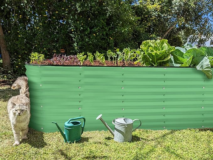 Plant & Plot Galvanized Raised Garden Beds Outdoor // 6×2×2 ft Planter Raised Beds for Gardening, Vegetables, Flowers // Large Metal Garden Box (Light Green) // Patented Tool-Free Design PlantPlot