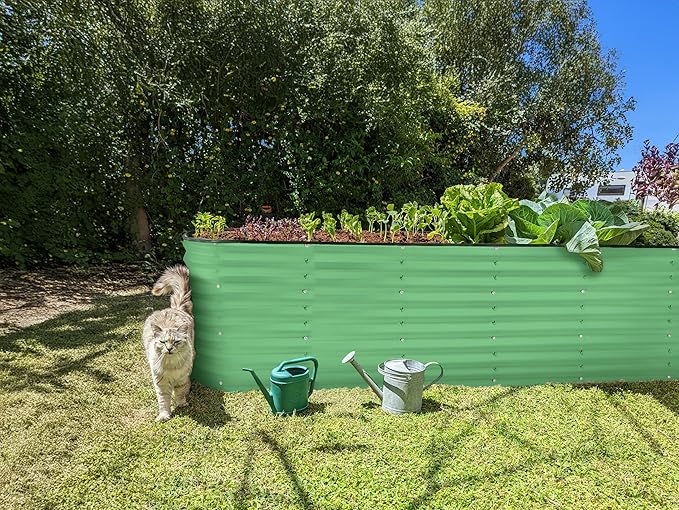 Plant & Plot Galvanized Raised Garden Beds Outdoor // 8×2×2 ft Planter Raised Beds for Gardening, Vegetables, Flowers // Large Metal Garden Box (Light Green) // Patented Tool-Free Design PlantPlot