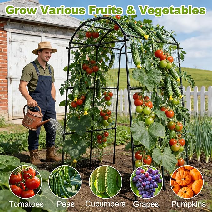 Miory Garden Arch Trellis for Climbing Plants Outdoor, Metal Plants Support Trellis for Climbing Vine Tomato Vegetable Flower Fruit, Cucumber Trellis for Raised Bed (71 x 83 Inch) Miory