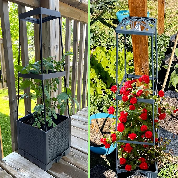2 Packs Raised Garden Bed Tomato Planter Box with Trellis,56.8" Self-Watering Tomato Cage with Trapezoidal Trellis for Climbing Plants Flowers Vegetables Vine in Patio Garden Indoor Outdoor Biotolot