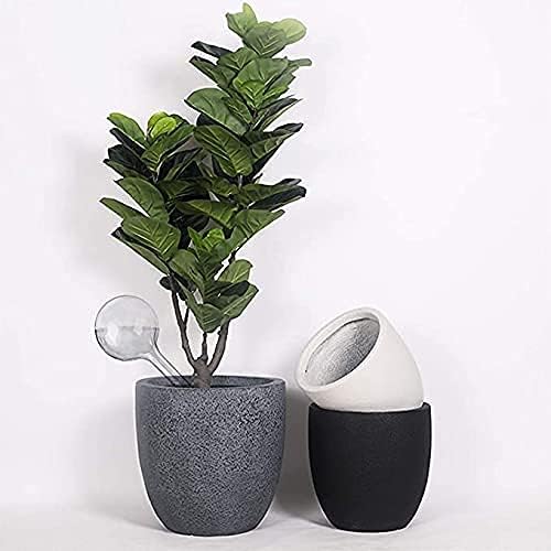 10 Pcs Clear Plant Watering Globes,Plastic Self-Watering Bulbs,Flower Automatic Watering Device,Garden Waterer for Plant Indoor Outdoor -PlantWateringGlobes-