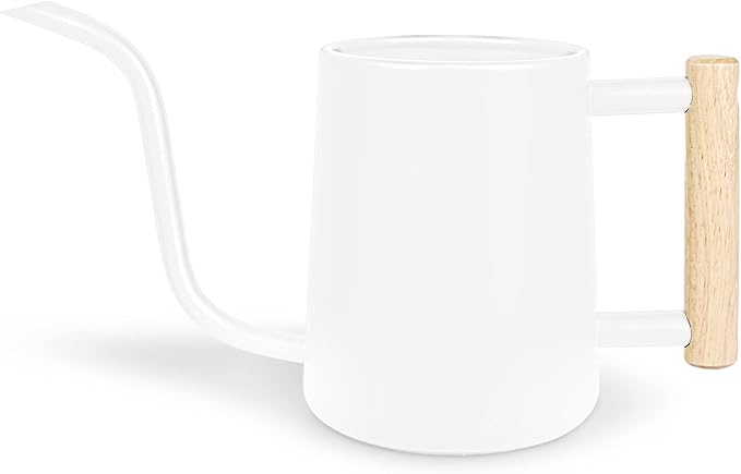 Watering Can Indoor Plants, 35 oz/1000 ml Metal Stainless Steel Watering Can Pot with Long Spout for Indoor House Plants Bonsai Outdoor Garden Flower Decorative (White) Rootora