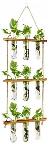 XXXFLOWER Wall Hanging Propagation Station with Wooden Stand Glass Test Tubes Tiered Planters Wall Terrarium for Home Office Plant Hanger Flower Vases Wall Decor Hydroponic Cuttings (9 Tube Vases) XXXFLOWER