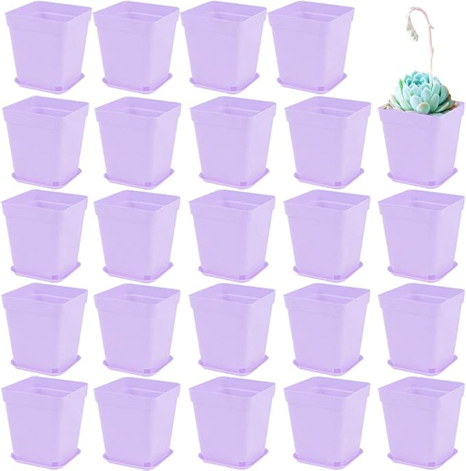 Anyumocz 24 Pack Plastic Square Nursery Pots 3 Inch Plastic Plant Pots,Flower Pot with Tray Saucer for Indoor Outdoor Garden Office Decor Anyumocz