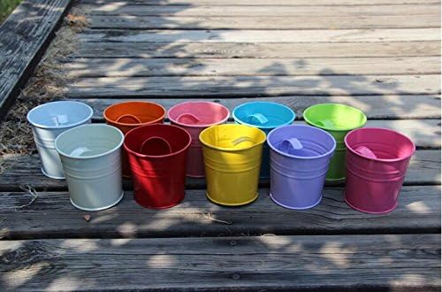 KINGLAKE Flower Pots,10 Pcs Metal Iron Hanging Flower Plant Pots Balcony Garden Plant Planter Baskets Fence Bucket Pot 4'' Flower Holders with Detachable Hook KINGLAKE