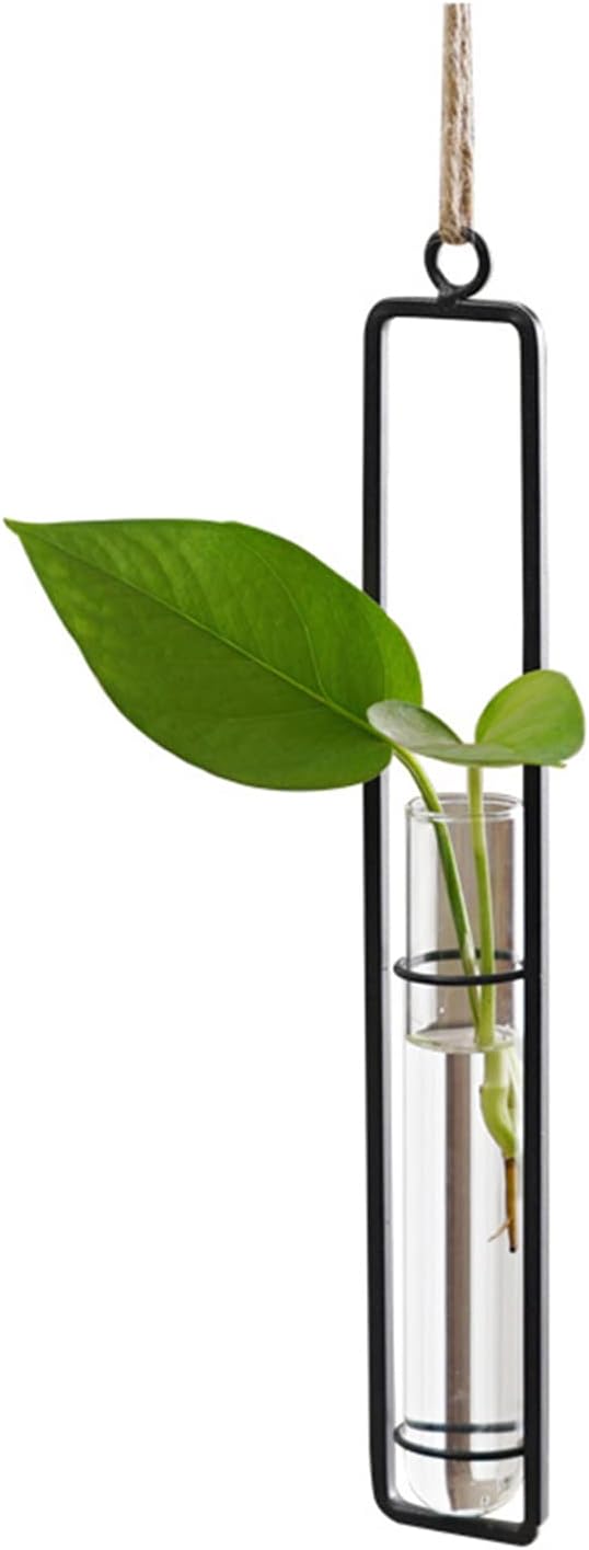 3 Pieces Hanging Glass Hydroponic Planter Transparent Test Tube Plant Vase Terrarium Container for Indoor Outdoor Modern Home Decoration (Black) AQRICHFOX
