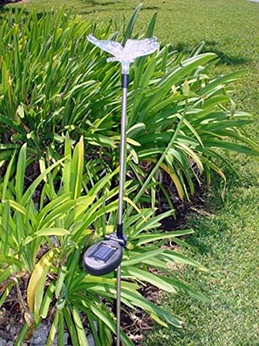 Solar Garden Stake Lights with Color Changing LED or Regular White LED Landscape Path Lights (Set of 2) (Butterfly) Ntertainment+House