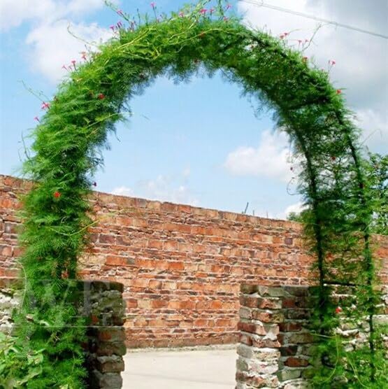 Garden Arch Trellis Metal Garden Arbor for Various Climbing Plant, Wedding Arches for Ceremony Decoration Outdoor Lawn Backyard, 7'8" H x 4'5" W, Dark Green UmiPatio
