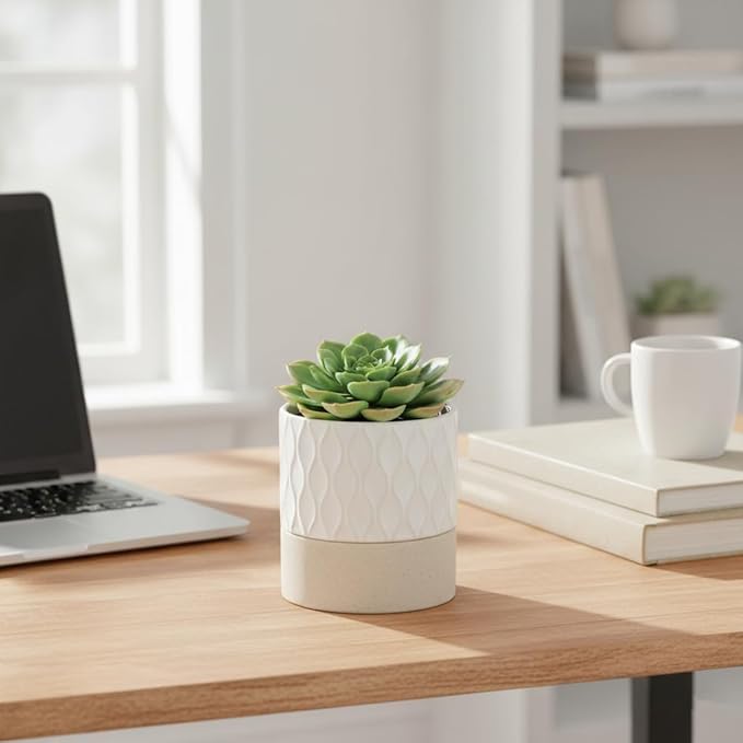 Nihow Self Watering Plant Pot: 4.5 Inch Ceramic Planter with Drainage Hole & Water Storage Plus for Indoor & Outdoor Plants - Cylinder Flower Pot for Herbs/Violets - Cream White & Brown Net Nihow