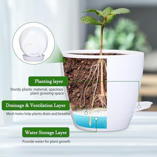 Hanging Planters for Indoor Plants, 2 Set Self Watering Hanging Flower Pots, Modern Hanging Plant Baskets with Metal Plant Holder & 6.5 Inch Plastic Pots for Garden Home Decor (Gold Frame White Pot) Koalaime