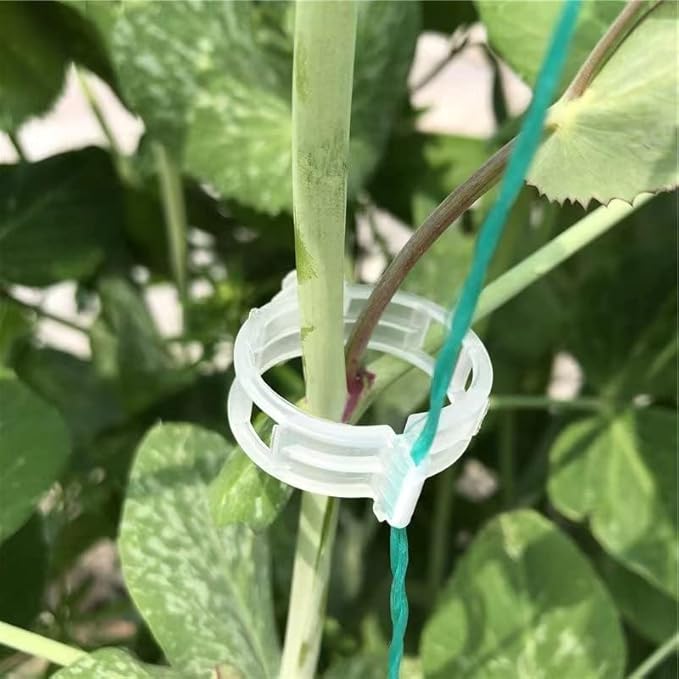 Piteno® 300Pcs Tomato Clips, Plastic Trellis Clips, Plant Support Clips, Grape Vine Tomato Vine Vegetables Plants Garden Support Clips to Grow Upright Makes Plants Healthier Piteno