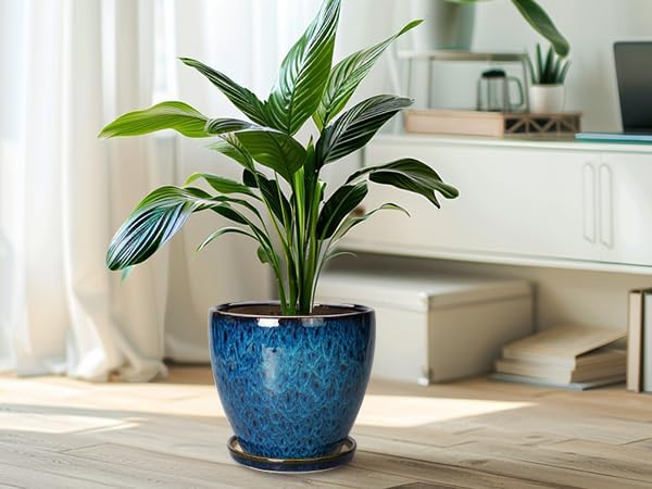 8 Inch Ceramic Planter Pot with Drainage Hole and Saucer, Ceraimc Plant Pot Round Flower Pot for Indoor Plants Outdoor Garden Planter, Blue EPFamily