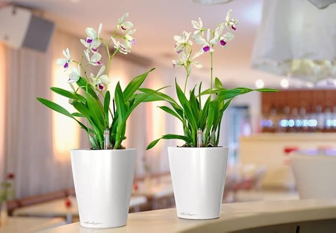 Lechuza 14900 Deltini Self-Watering Planter for Indoor and Outdoor Use, 6" x 6" x 7", White LECHUZA